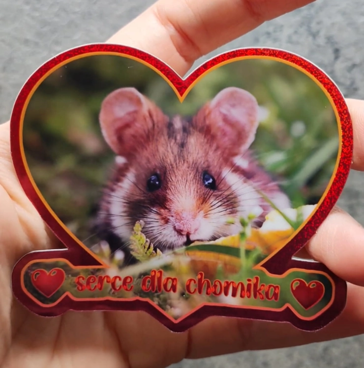 heart.jpg